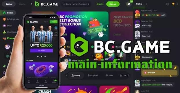 Understanding the BC.Game Login Process A Comprehensive Guide -390605135